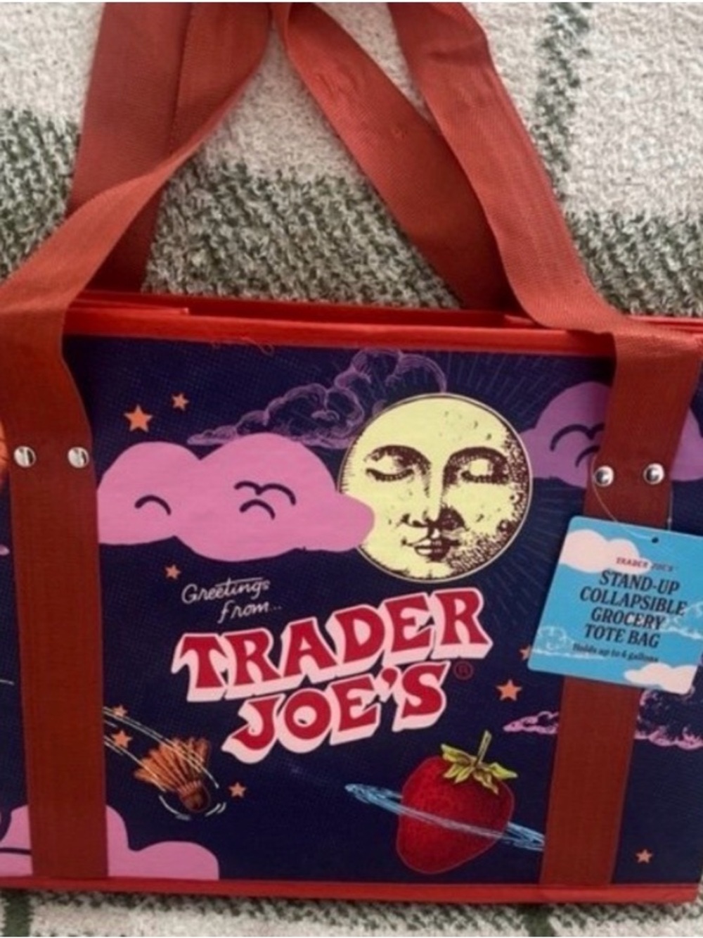 Trader Joe’s Collapsible Hardsided Tote 11”x14” NWT